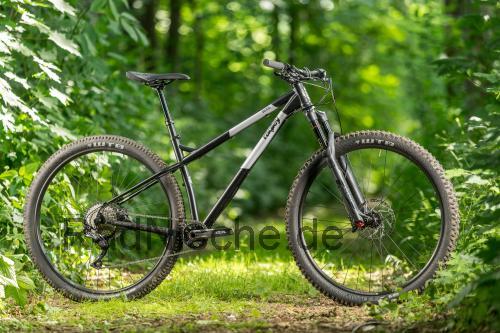 Ragley Bigwig  technische daten 